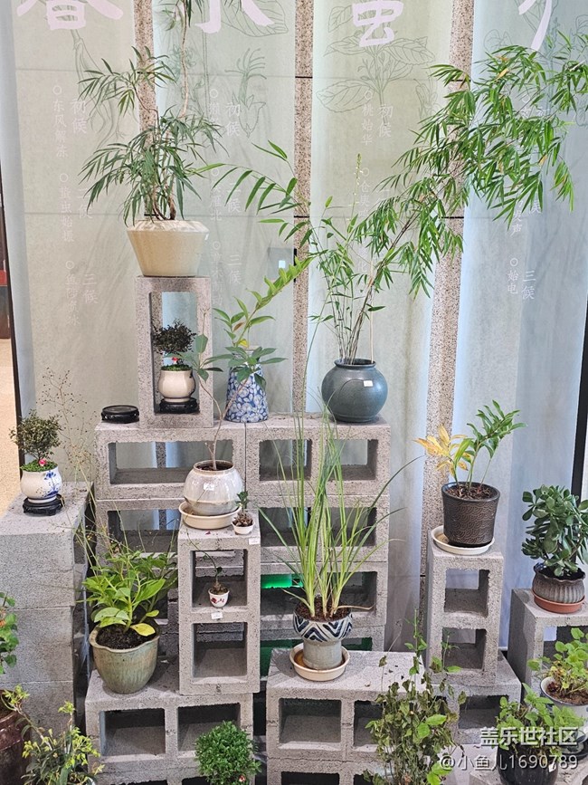 【 粽夏童趣】端午纳福