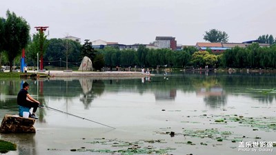 【遇见最美夏日】+城市随拍