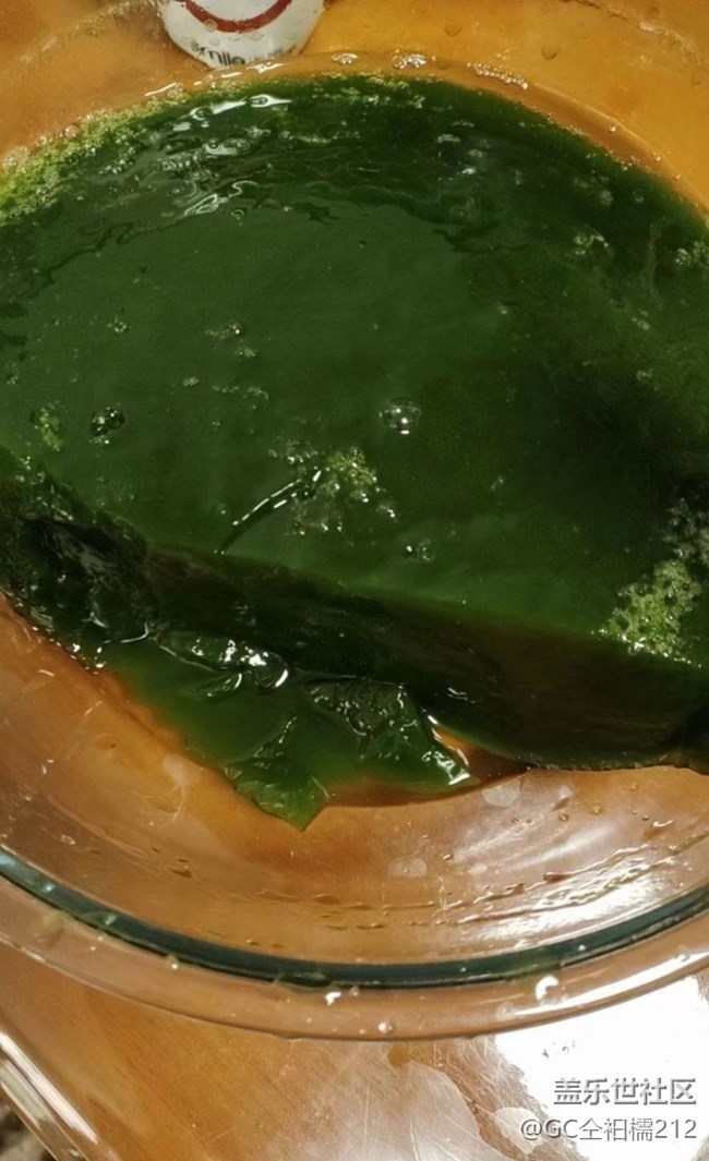 【芒种食养记】绿豆腐