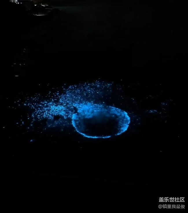 【鹏城夜景】蓝眼泪