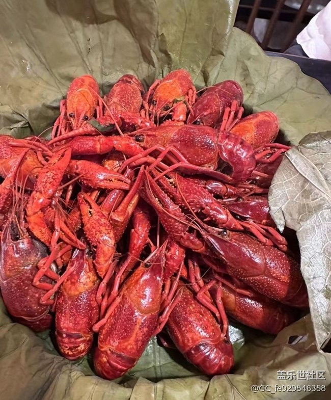 【芒种食养记】怡淮龙虾