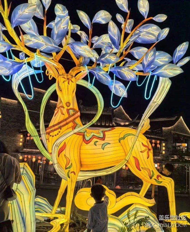 【鹏城夜景】周末生活