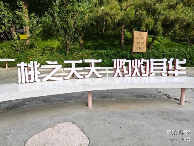 【团结湖公园】CBD中的自然风光