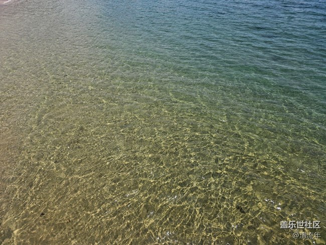 【自然的美妙】海