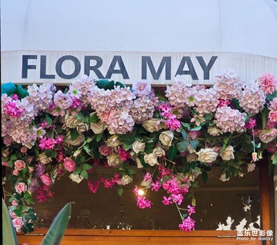 【遇见最美夏日】浪漫夏日