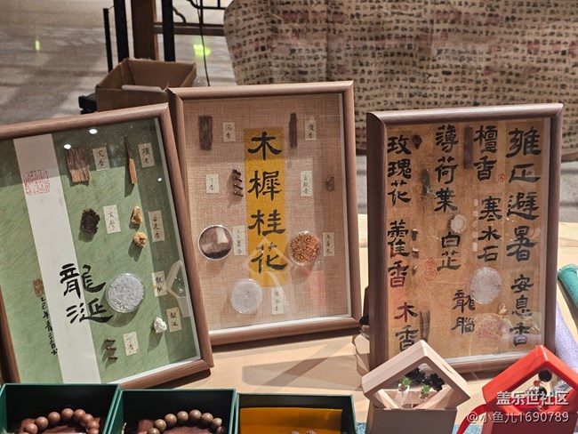 【 粽夏童趣】端午识药