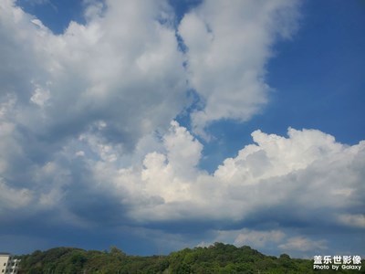 【遇见最美夏日】蓝天白云绿叶花朵