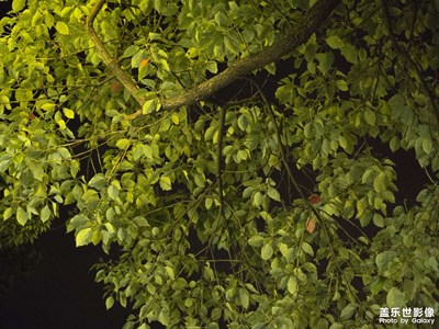 【遇见最美夏日】+夏日美好