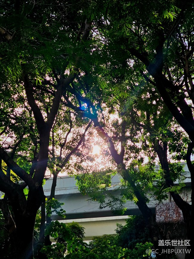 【华北夏韵】雨过天晴