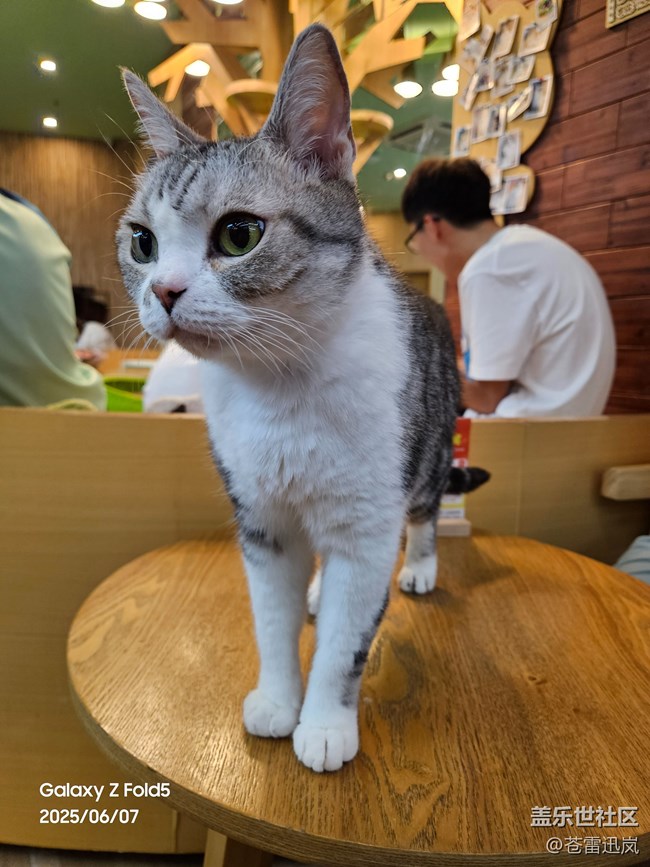 【超薄手机S25edge】感受超薄魅力