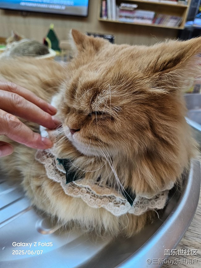 【超薄手机S25edge】轻薄时尚新世代