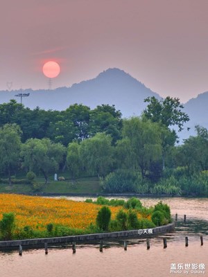 感受盛夏的美好时光