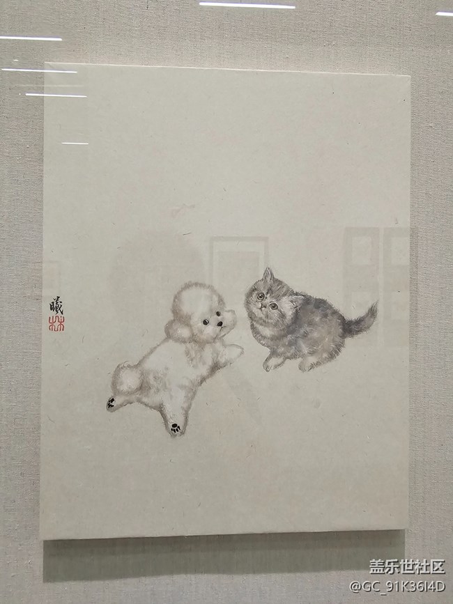 【 粽夏童趣】猫猫狗狗
