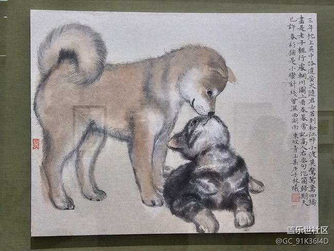 【 粽夏童趣】猫猫狗狗
