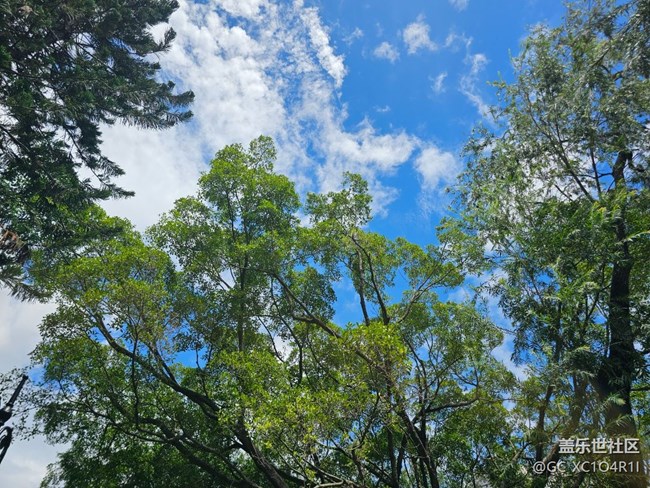 【华北夏韵】夏天的公园