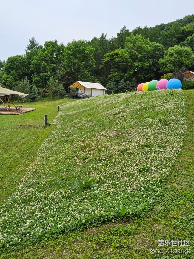 【薄机天花板与山野露营】＋在露营地体验三星新机