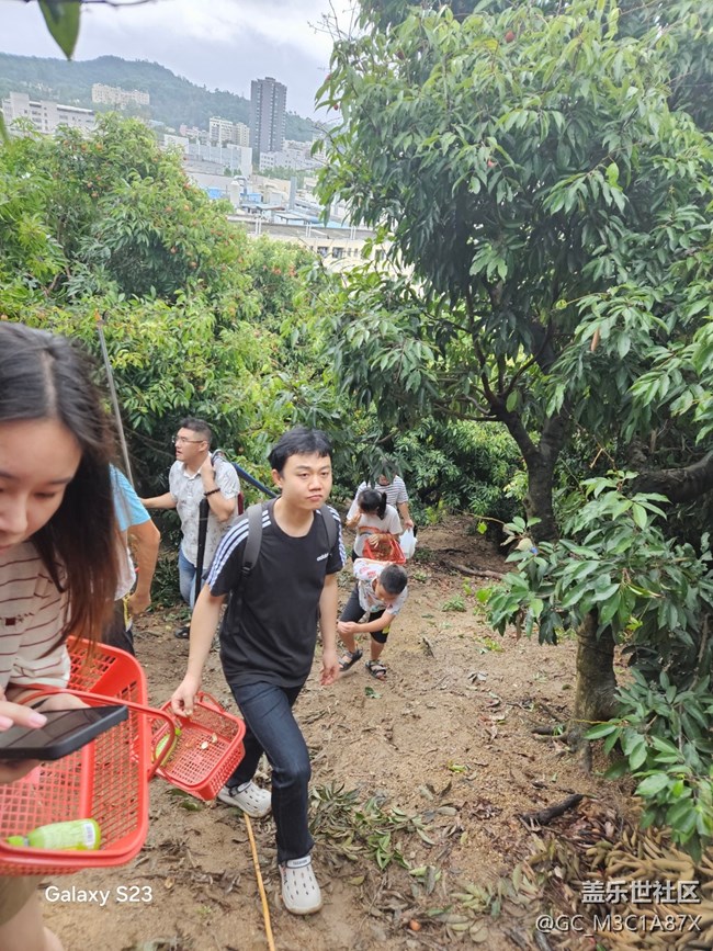 【活动回顾】日啖荔枝三百颗