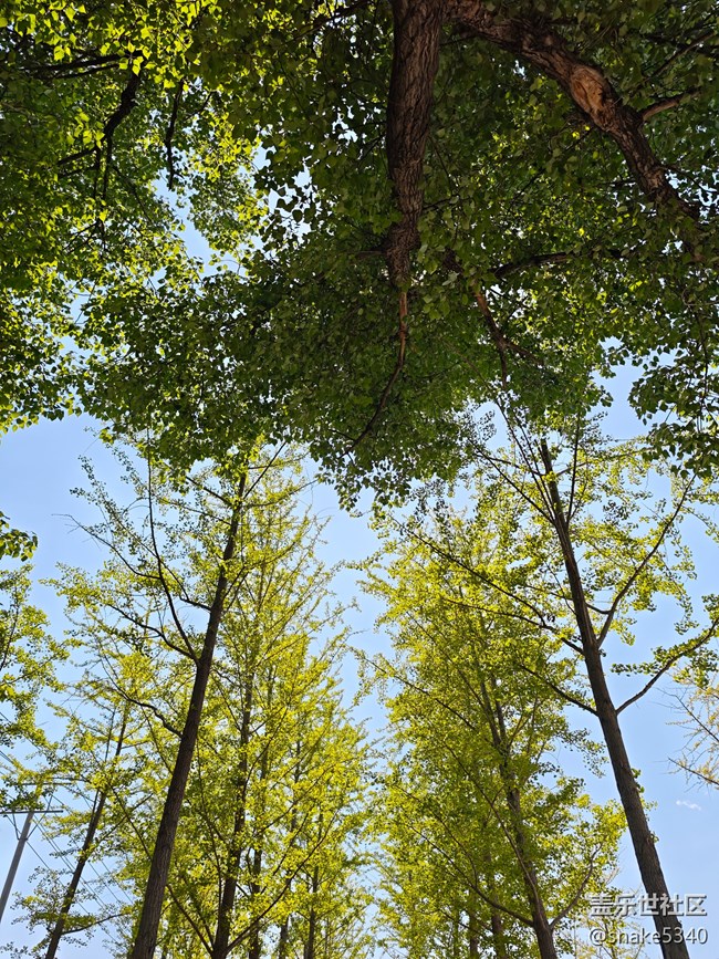 【瞬间及永恒】+金榜题名
