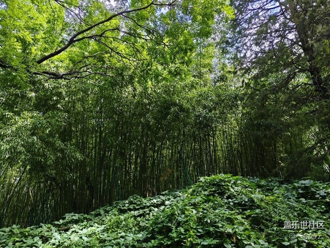 【双秀公园】空山新雨后