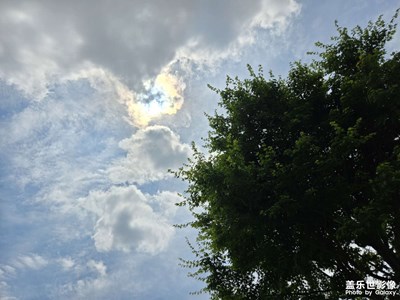【镜头里的六月】+阳光照耀