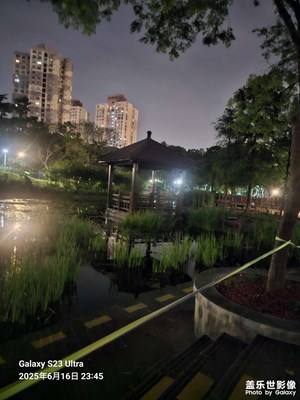 夜