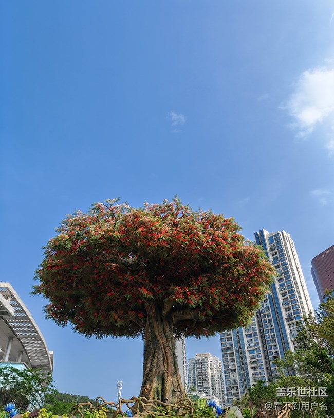 2025年6月9日屿见闽南线下摄影活动回顾贴