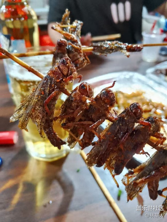 【消暑风味集】油炸蝗虫