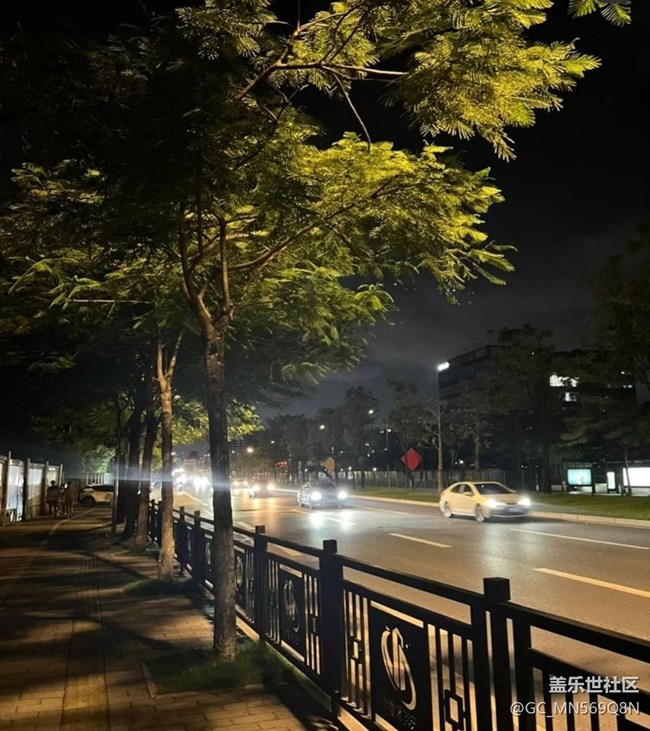 【鹏城夜景】夜晚散步