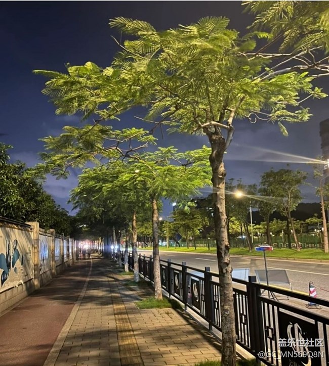 【鹏城夜景】夜晚散步