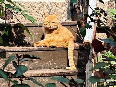 【光影里的五彩斑斓】+迷人的六月