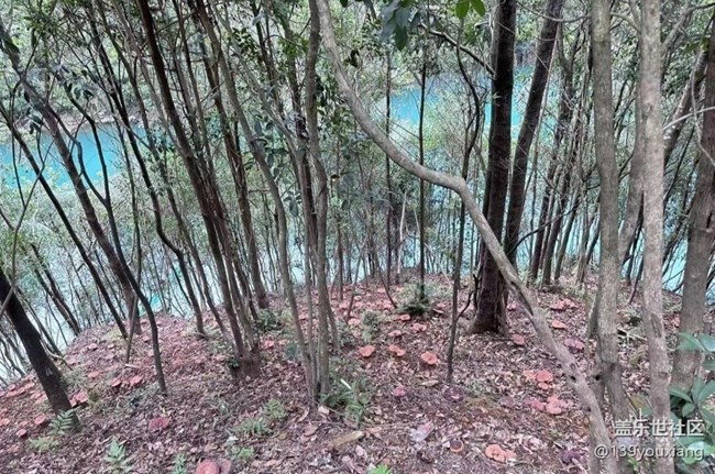 【浪漫盛夏季】绿水青山
