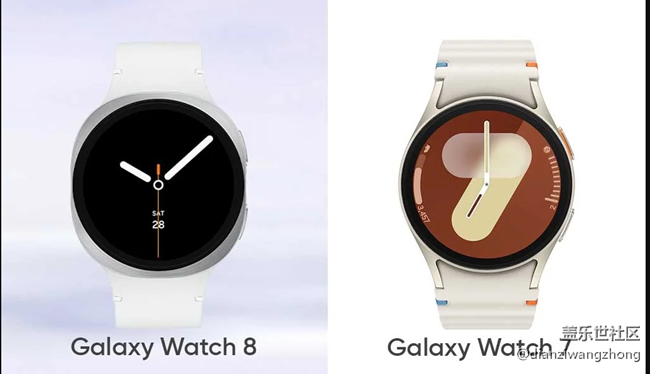 Galaxy Watch 8 与 Watch 7：并排设计比较