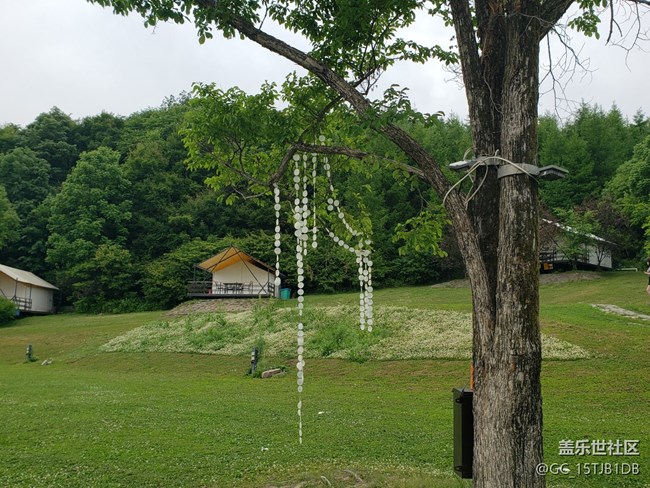 【薄机天花板与山野露营】烟火气中的科技体验