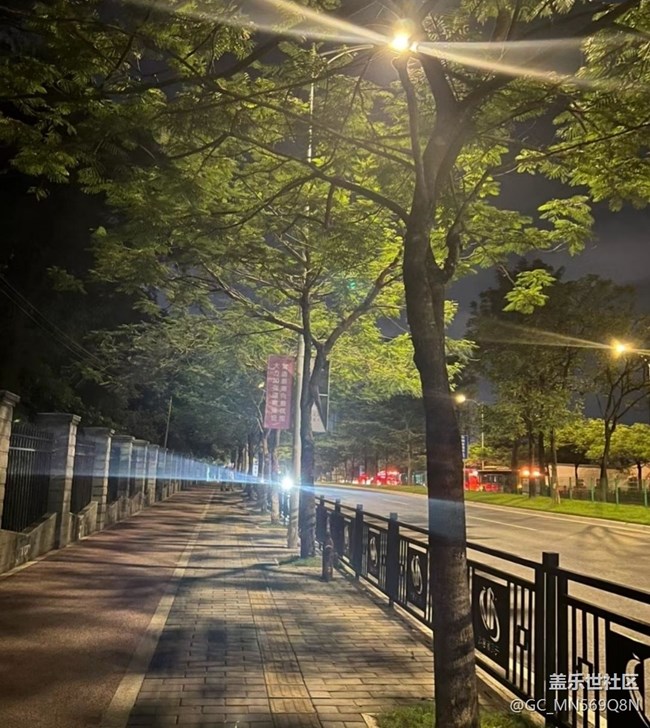 【鹏城夜景】夜晚散步