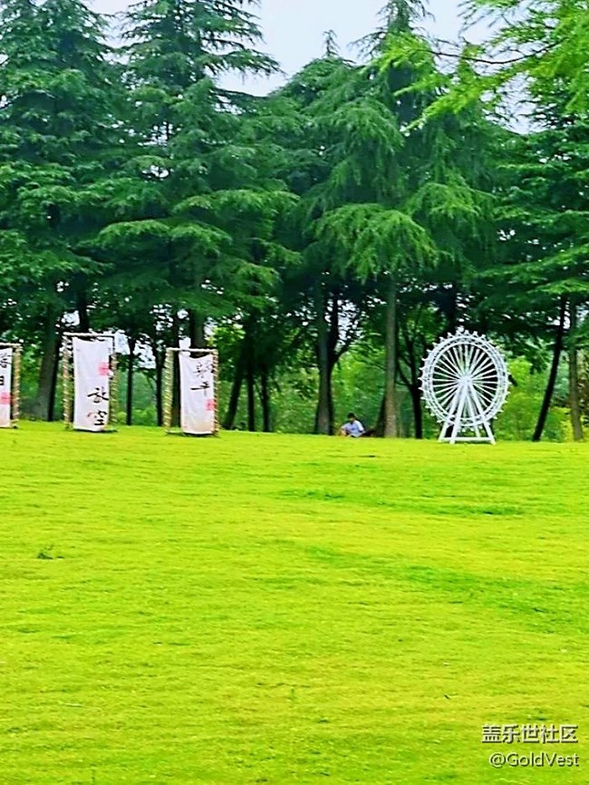 【夏日松弛感】索河郊野公园，夏日杏香采摘之旅
