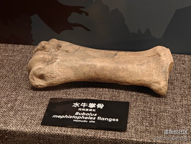 【博物馆之旅】河姆渡遗址博物馆