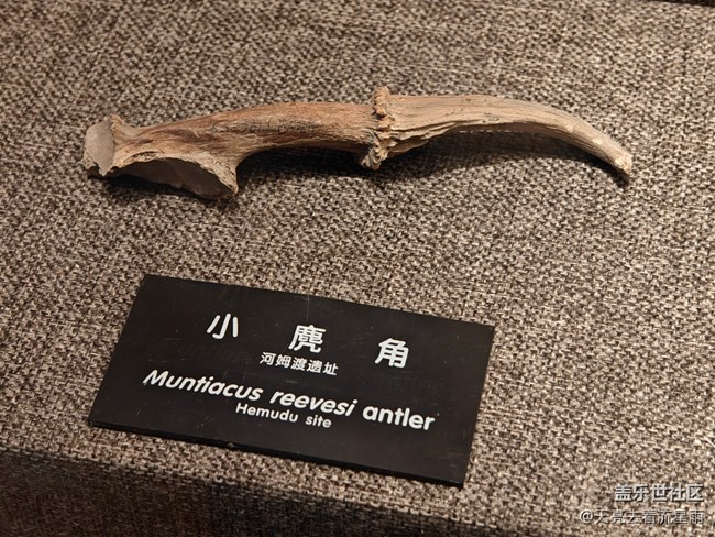 【博物馆之旅】河姆渡遗址博物馆