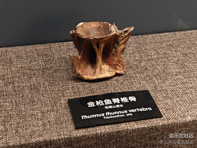 【博物馆之旅】河姆渡遗址博物馆