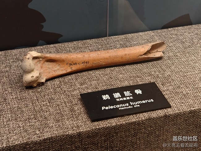 【博物馆之旅】河姆渡遗址博物馆