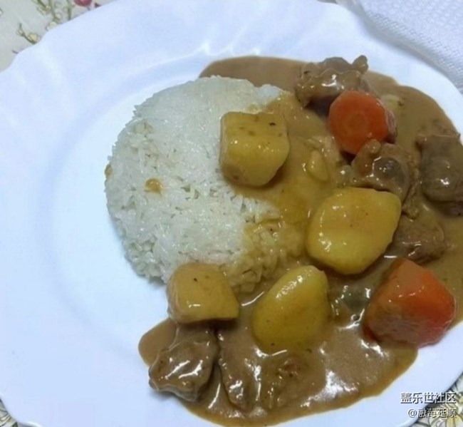 【消暑风味集】盖浇饭