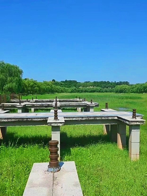 【夏日松弛感】索河郊野公园，夏日杏香采摘之旅
