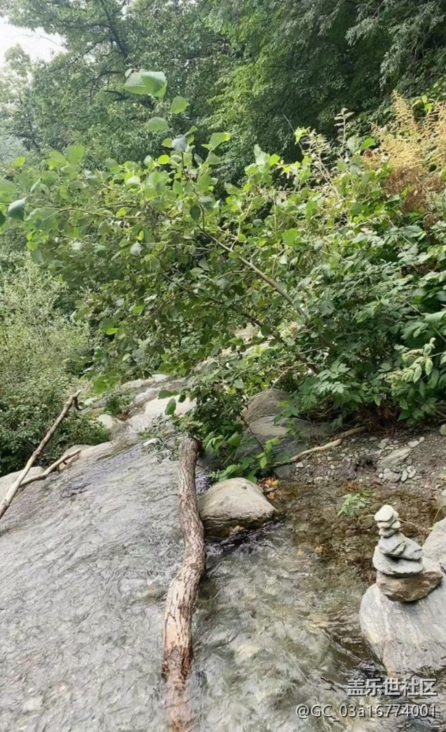 【浪漫盛夏季】进山避暑