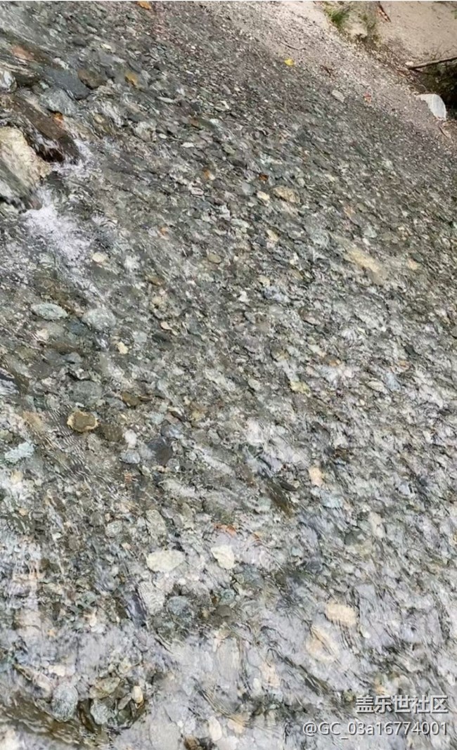 【浪漫盛夏季】进山避暑