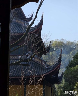 带娃游灵隐寺，徒步龙井村，可惜没有体力再去九溪烟树