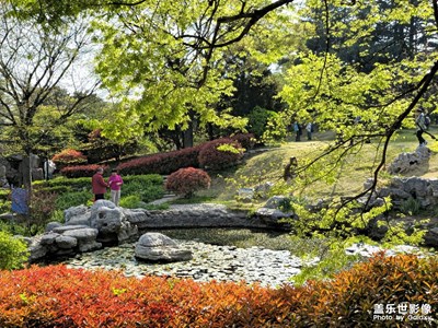 Galaxy S23 Ultra【花园】