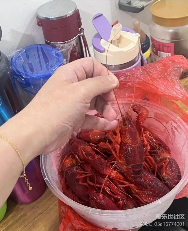 【消暑风味集】龙虾