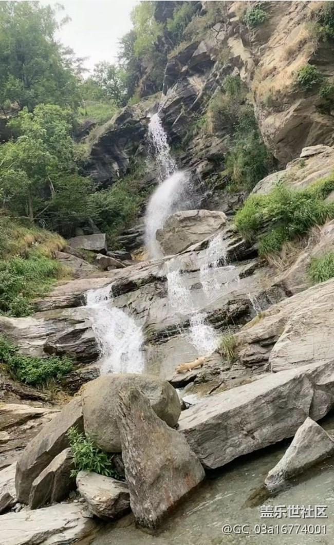 【浪漫盛夏季】进山避暑