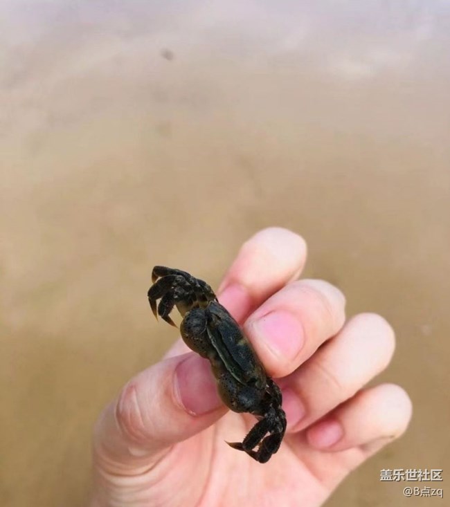 【浪漫盛夏季】吹海风