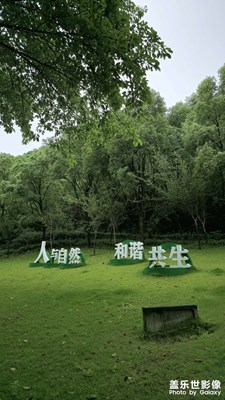 人与自然，和谐共生。