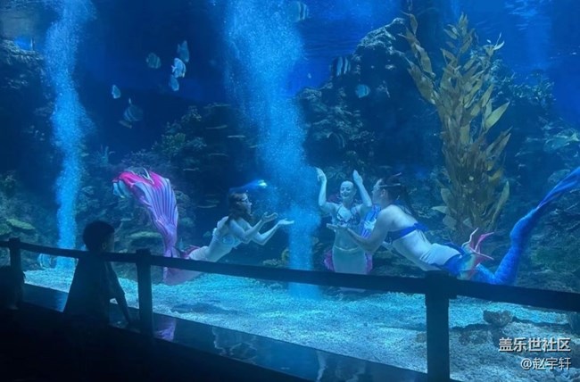 【浪漫盛夏季】海洋馆